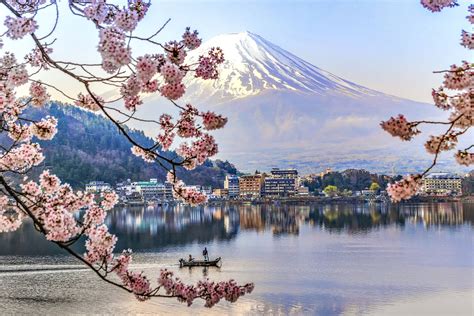  Japonia - pasożyt o niezwykłej podróży życiowej!